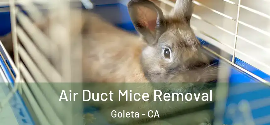 Air Duct Mice Removal Goleta - CA