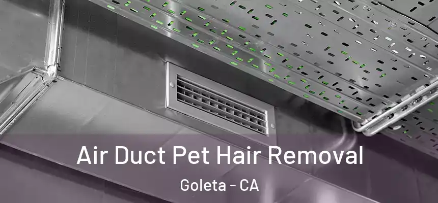 Air Duct Pet Hair Removal Goleta - CA