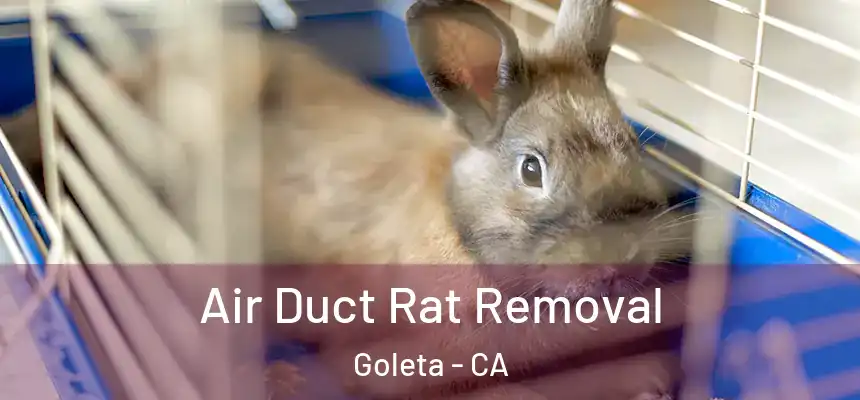 Air Duct Rat Removal Goleta - CA