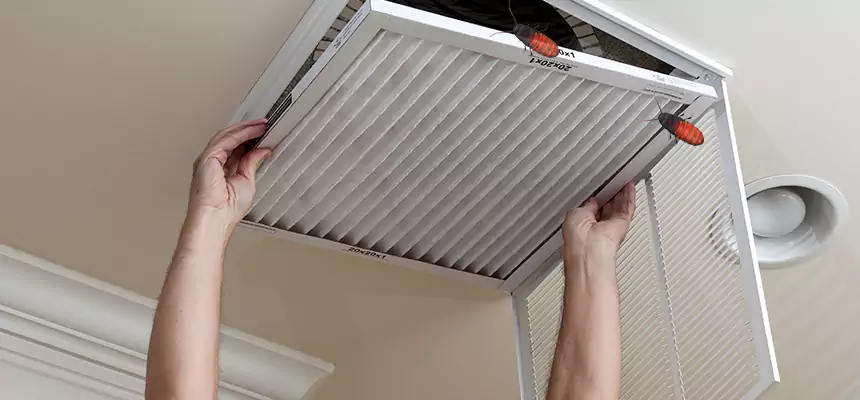 Preventive Cockroach-Proofing for Ducts in Goleta