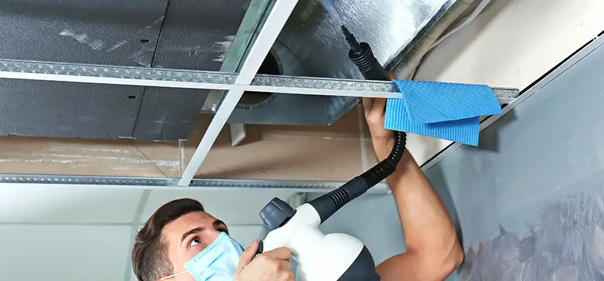 Our Air Duct Rodent Removal Services in Goleta, CA