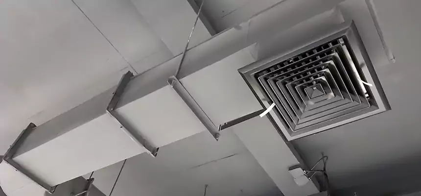 Our Pest Removal From Ducts Services in Goleta, CA