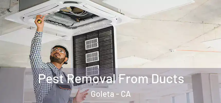 Pest Removal From Ducts Goleta - CA