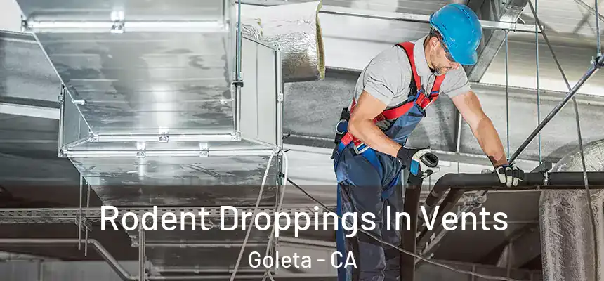  Rodent Droppings In Vents Goleta - CA