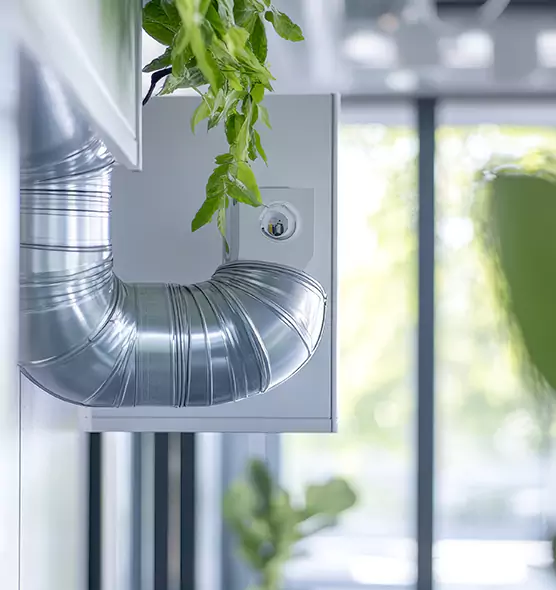 Professional Eco-Friendly Duct Cleaning Services in Goleta, CA