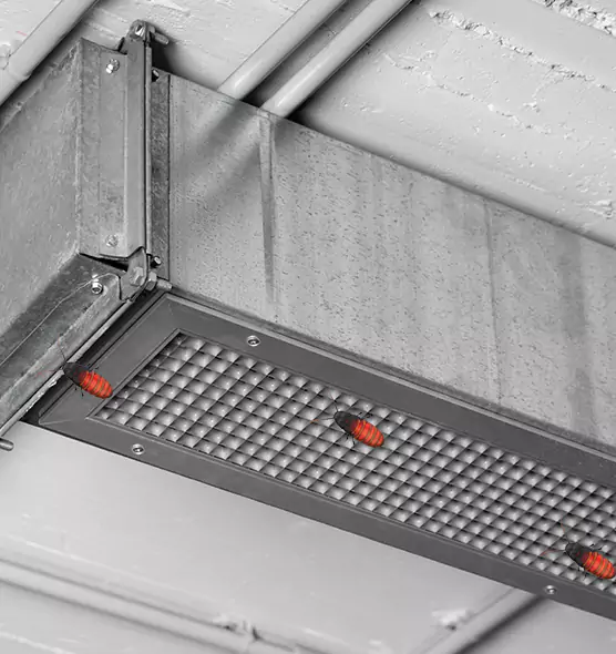 Affordable Insect Removal from Air Ducts in Goleta, CA