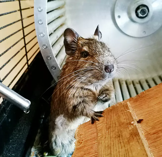 Why Homeowners & Businesses Trust Us Goleta, CA