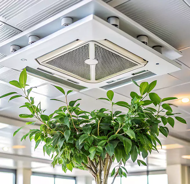 Why Homeowners & Businesses Trust Us in Goleta, CA