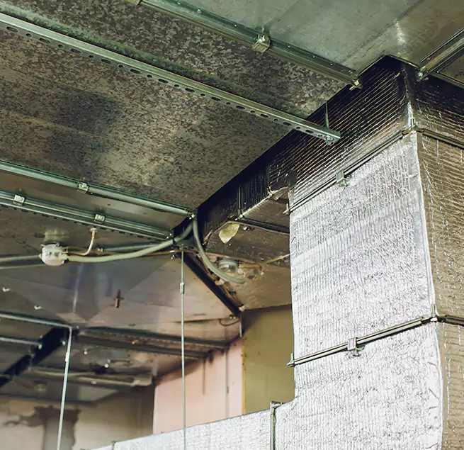 Why Homeowners & Businesses Trust Us in Goleta, CA?